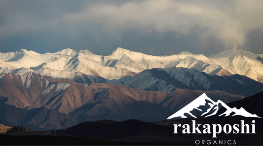 Majestic Himalayan mountain peaks in Gilgit-Baltistan where natural shilajit resin forms over centuries