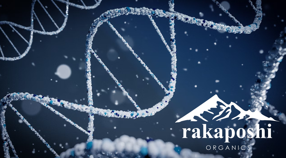 Scientific DNA double helix structure representing natural mineral composition and genetics