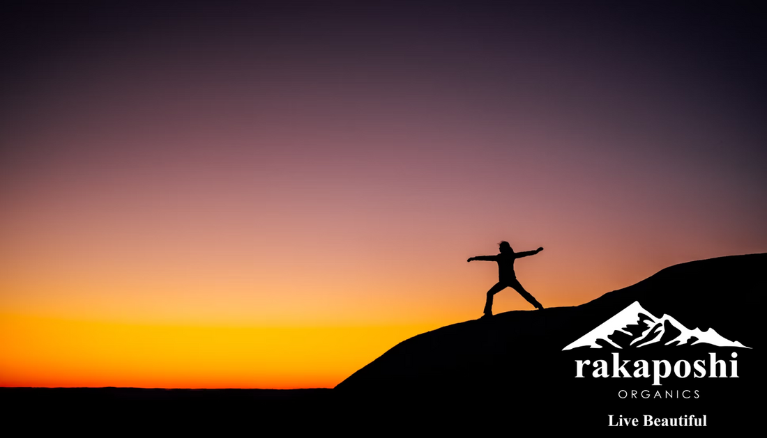 Person practicing tai chi on mountain demonstrating mindful movement for stress reduction and holistic wellness support