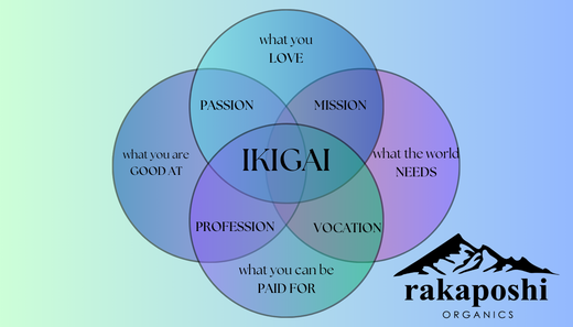 Ikigai diagram showing intersection of passion, mission, vocation, and profession representing Japanese philosophy of life purpose