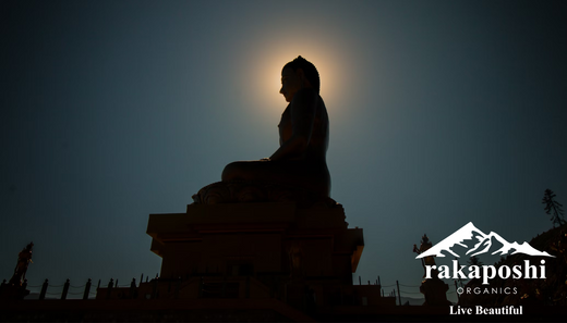 Silhouette of Buddha meditating on rock representing Himalayan meditation wisdom, mindfulness practice, and mental clarity