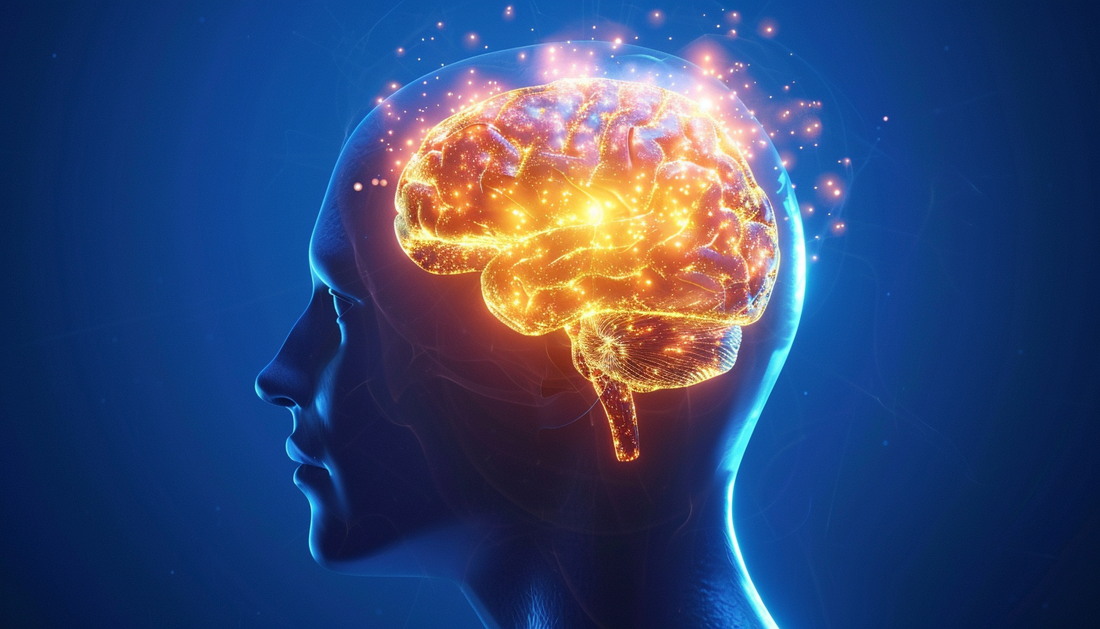 Artistic brain illustration with energy radiating outward representing cognitive performance and mental clarity optimization