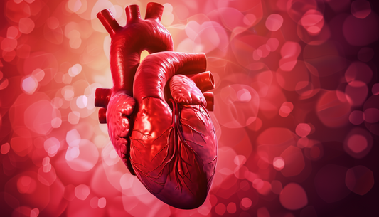 Artistic heart illustration representing cardiovascular health and wellness optimization