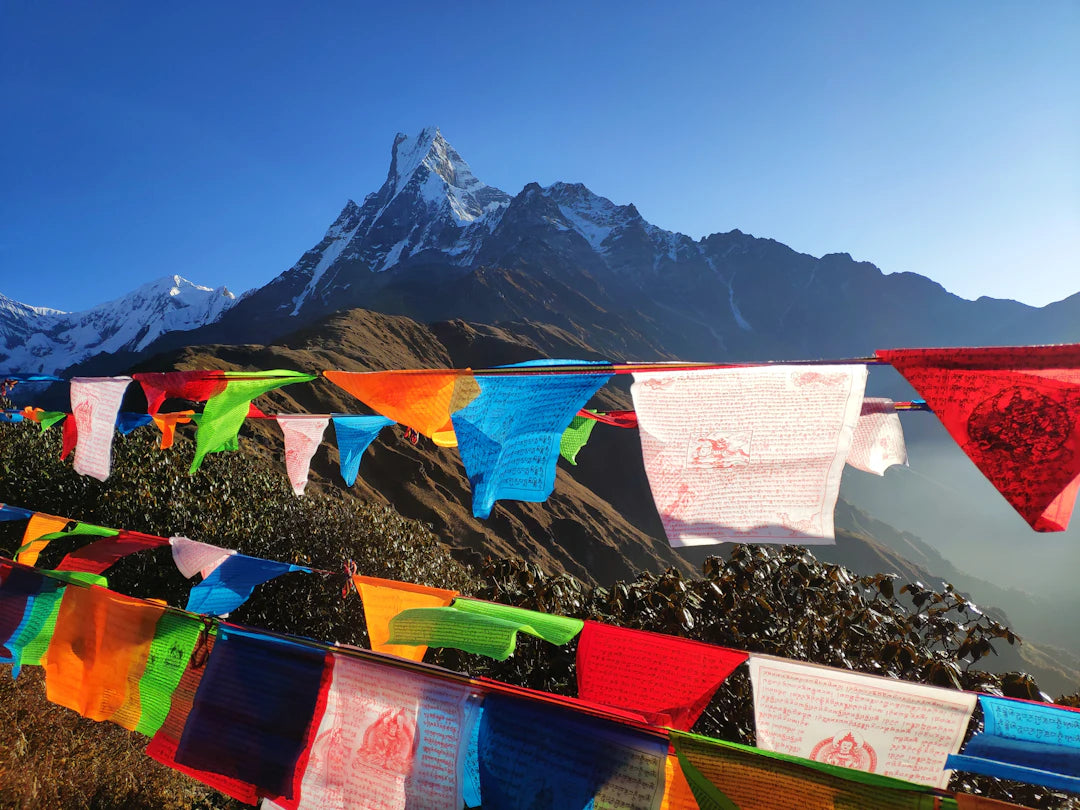 The Role of Routine in Achieving Wellness Goals