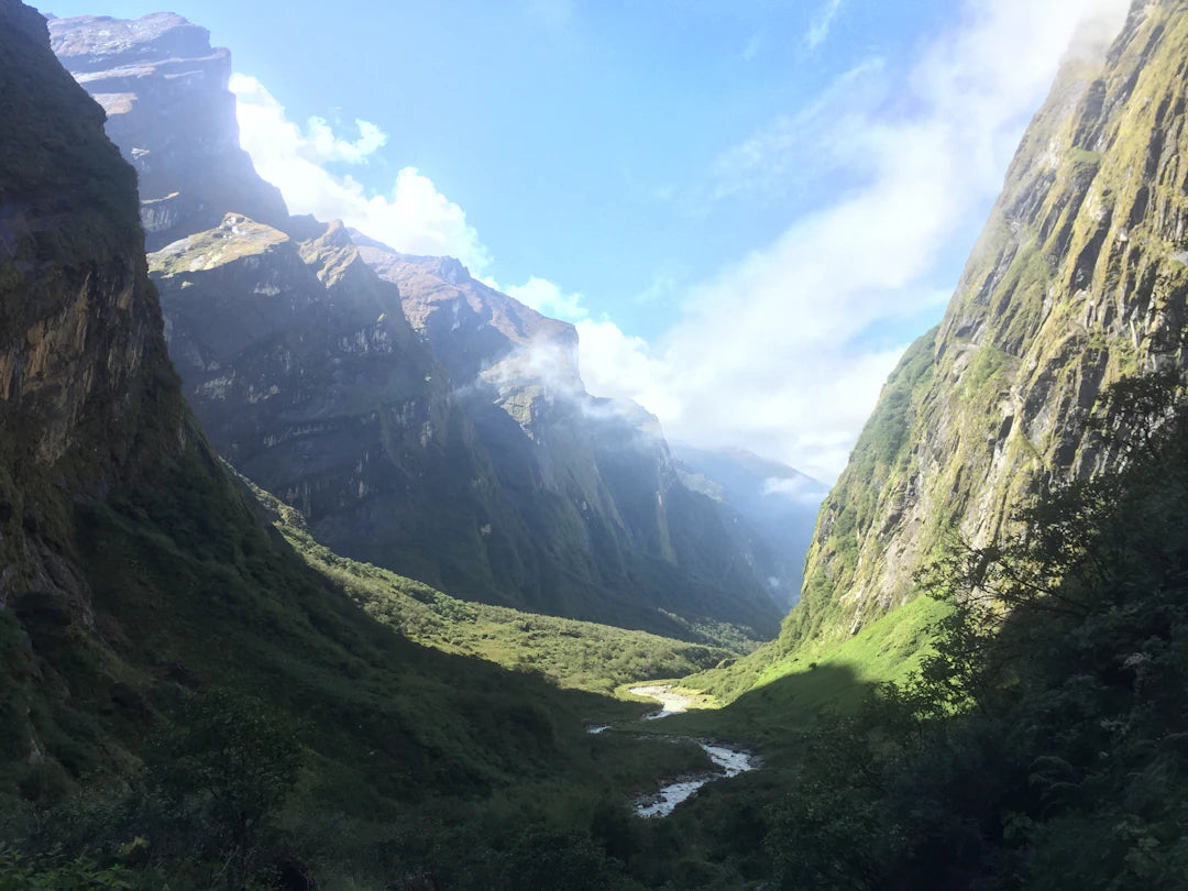 Integrating Shilajit into a Holistic Wellness Routine