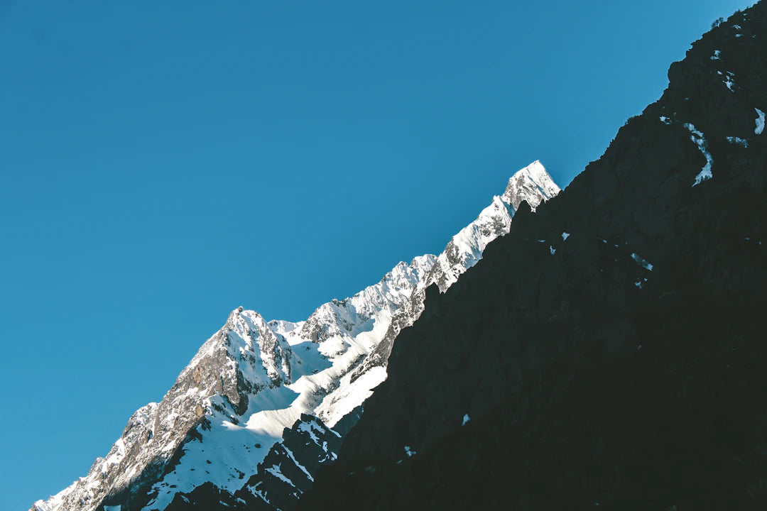 Elevate Your Wellness with Himalayan Shilajit