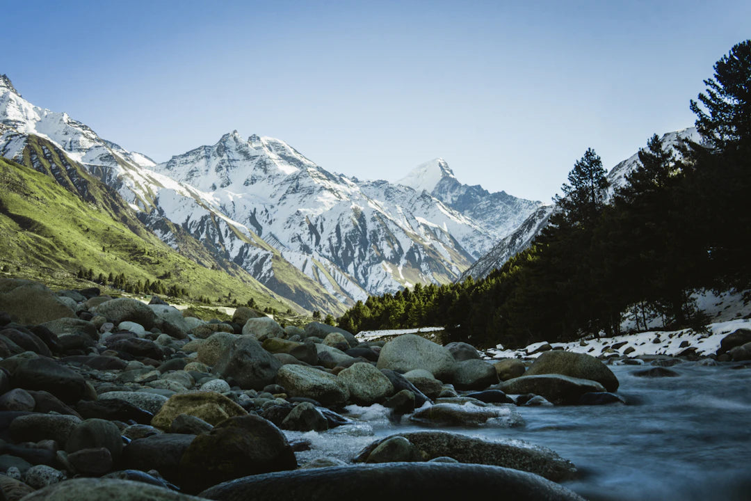 Sourcing Shilajit Ethical Considerations and Environmental Impact