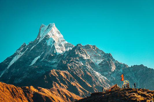 Unlocking Holistic Wellness Mindfulness and Recovery Insights