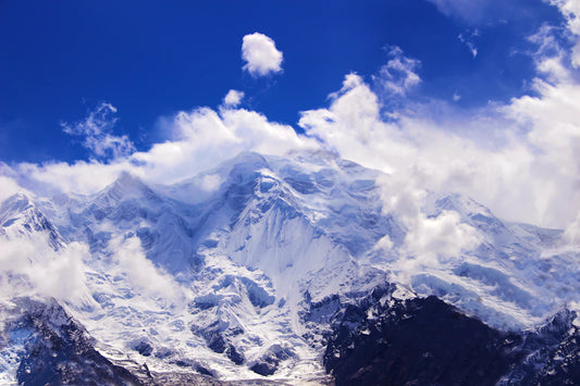 Distinguishing Quality Not All Shilajit Is Created Equal