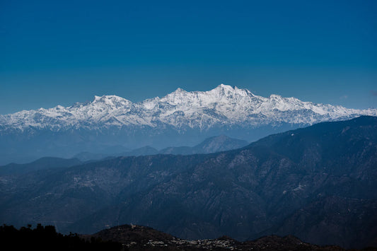 Discover Herbal Companions to Himalayan Shilajit
